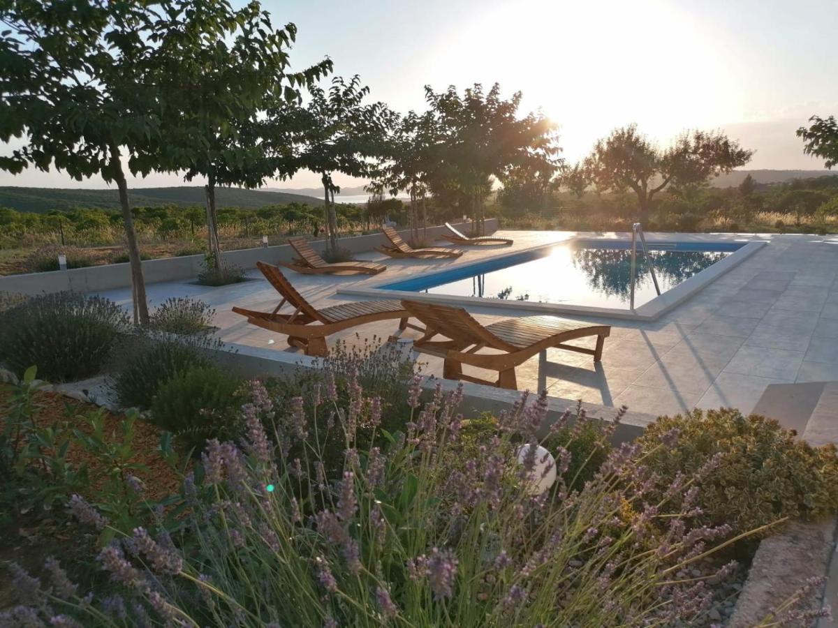 Villa Jelena Zadar Ngoại thất bức ảnh
