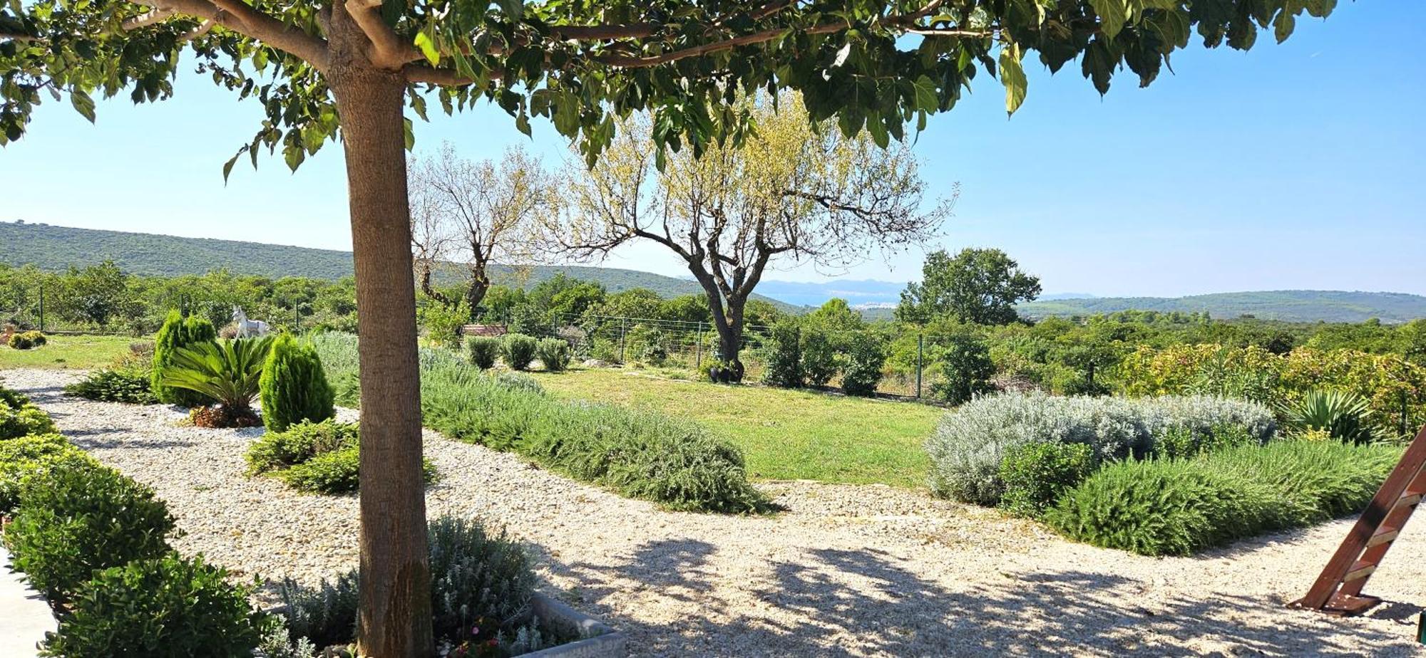 Villa Jelena Zadar Ngoại thất bức ảnh